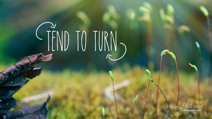 .Tend to Turn.