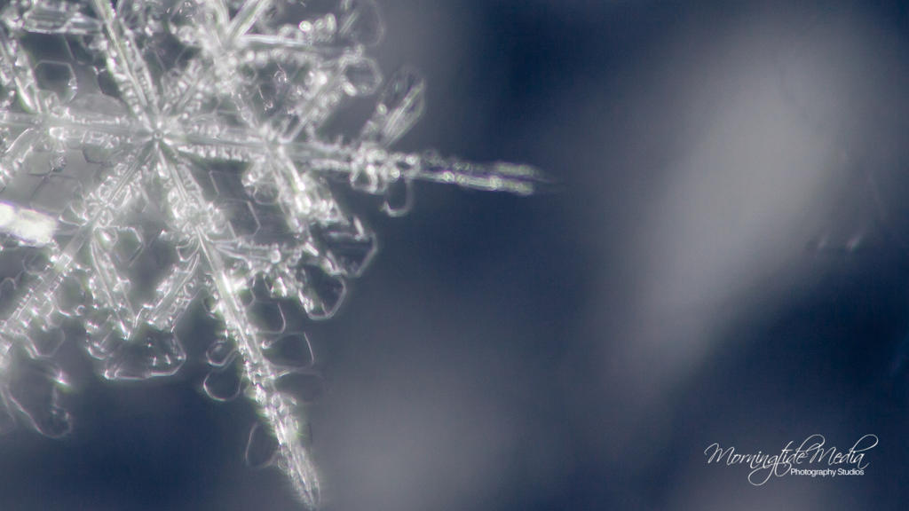 Snowflake Series: #2 by MorningtideMedia on DeviantArt