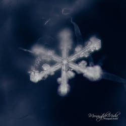 Snowflake Series:  #4
