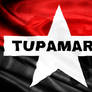 Bandera TUPAMARO VENEZUELA - bajo relieve