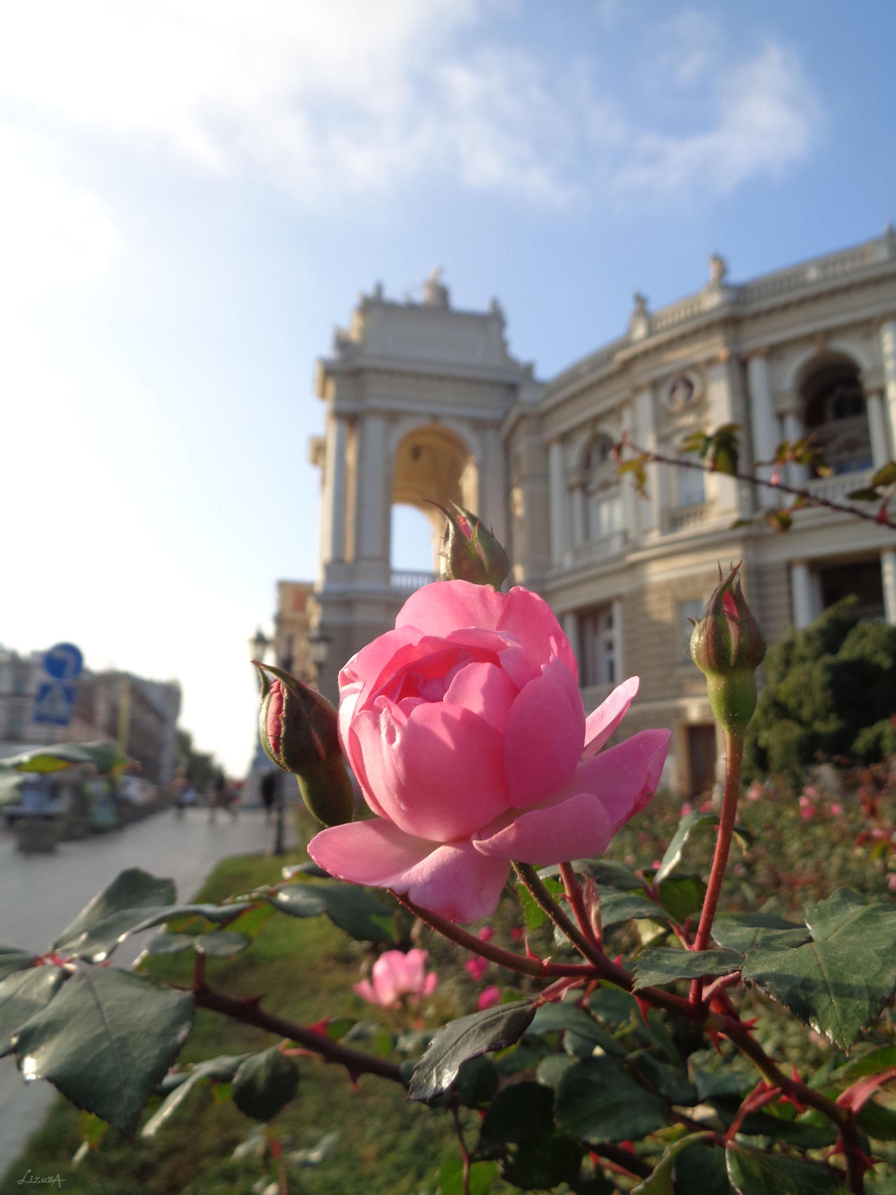 Opera Rose (1) by 0Lizuza0 on DeviantArt