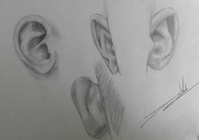 Ears study...