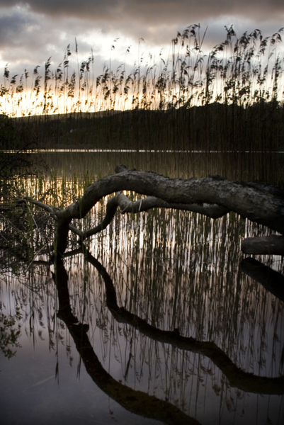 Loch Clunie