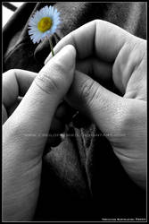 Little Flower in Her Hand