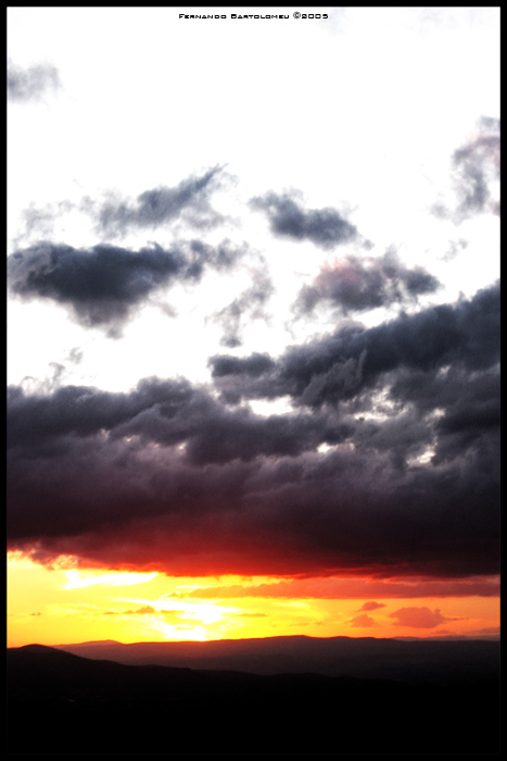 Sundwish