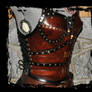 leather armor side view