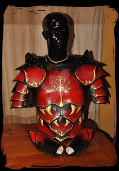 Leather armor men