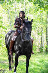 elven horse rider leather armor