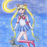 Sailor Moon and Luna