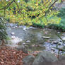 Autumn stream 4