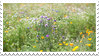 wildflower stamp