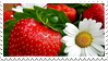 strawberry stamp