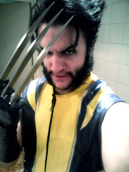 Wolverine in progress