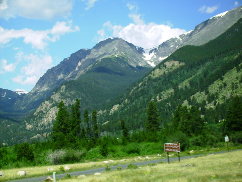 RMNP- Mountain and Green-ness