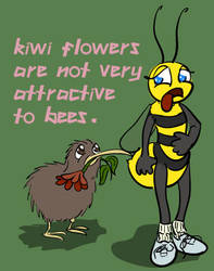 Kiwi Flowers