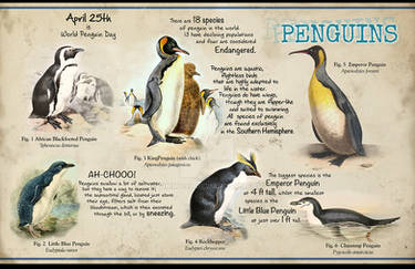 Penguin Education