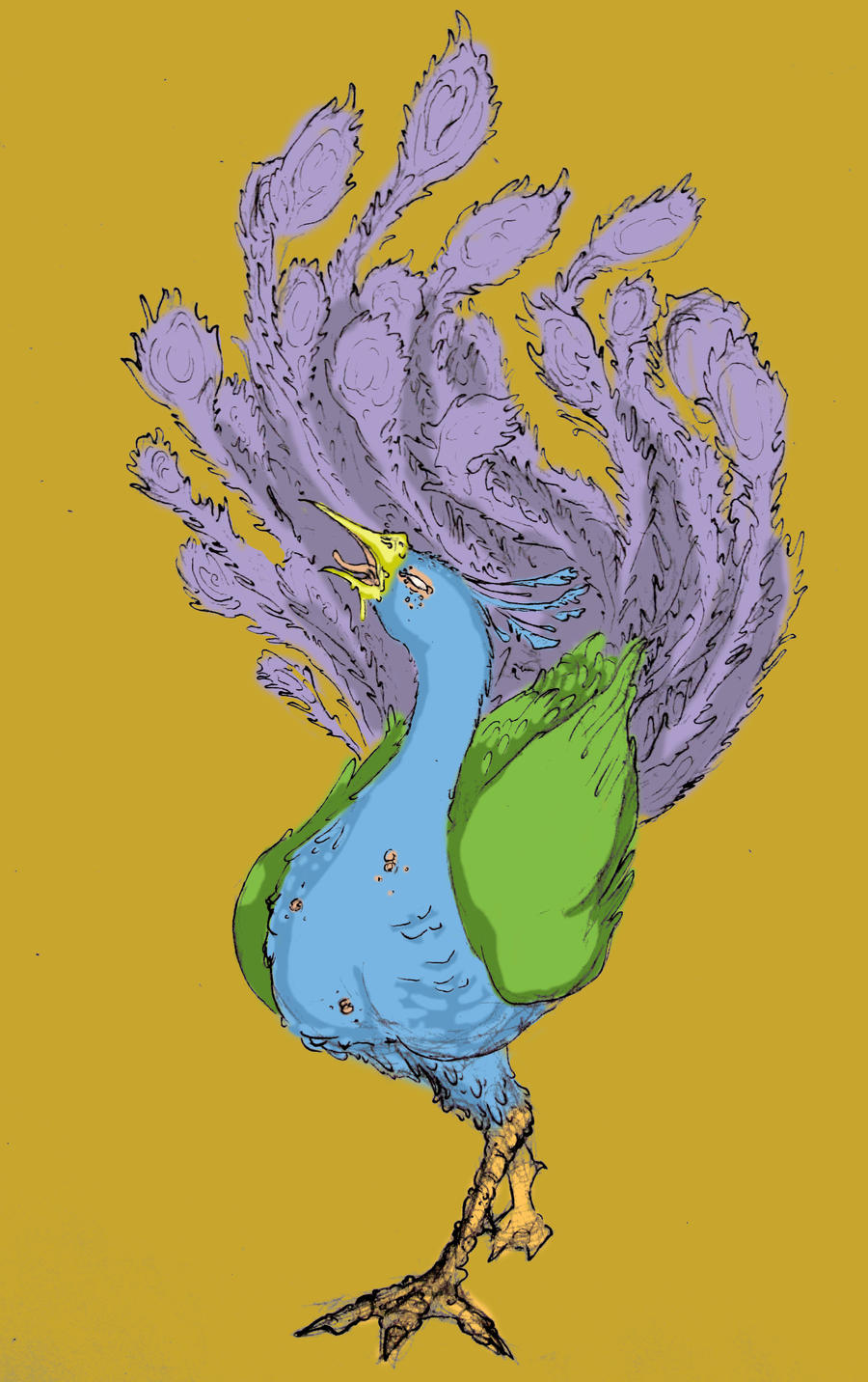 Peacock.