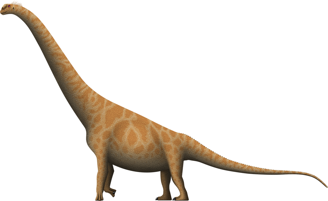 Huanghetitan ruyangensis by SpinoInWonderland