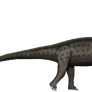 Austrosaurus mckillopi