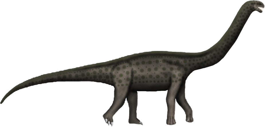 Austrosaurus mckillopi