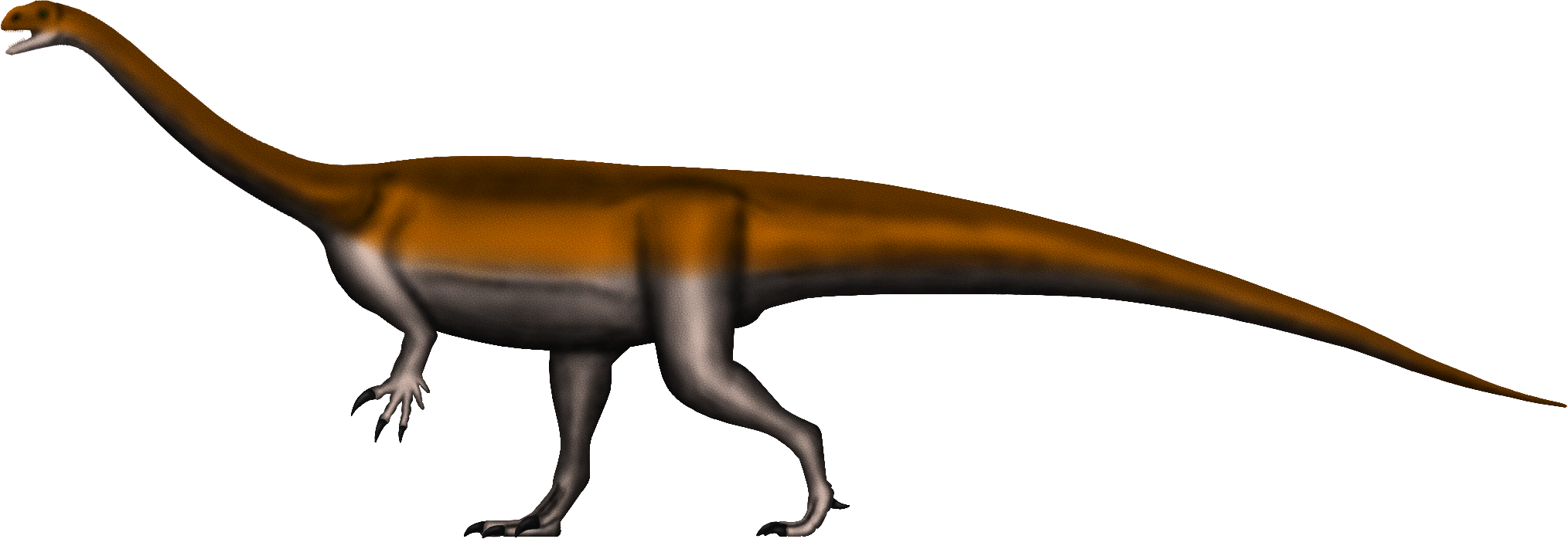 Glacialisaurus hammeri