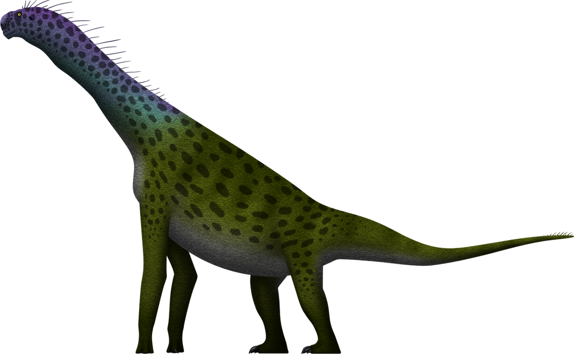 Atlasaurus imelakei by SpinoInWonderland