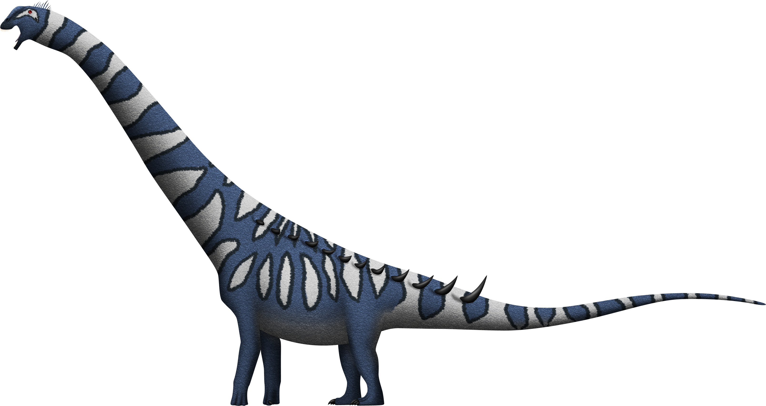 Puertasaurus reuili by SpinoInWonderland