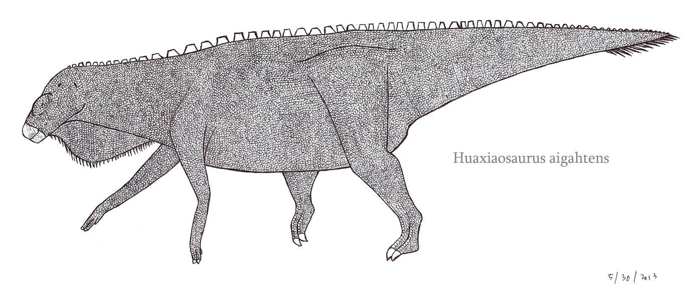 Huaxiaosaurus, the Ornithopod Titan by SpinoInWonderland