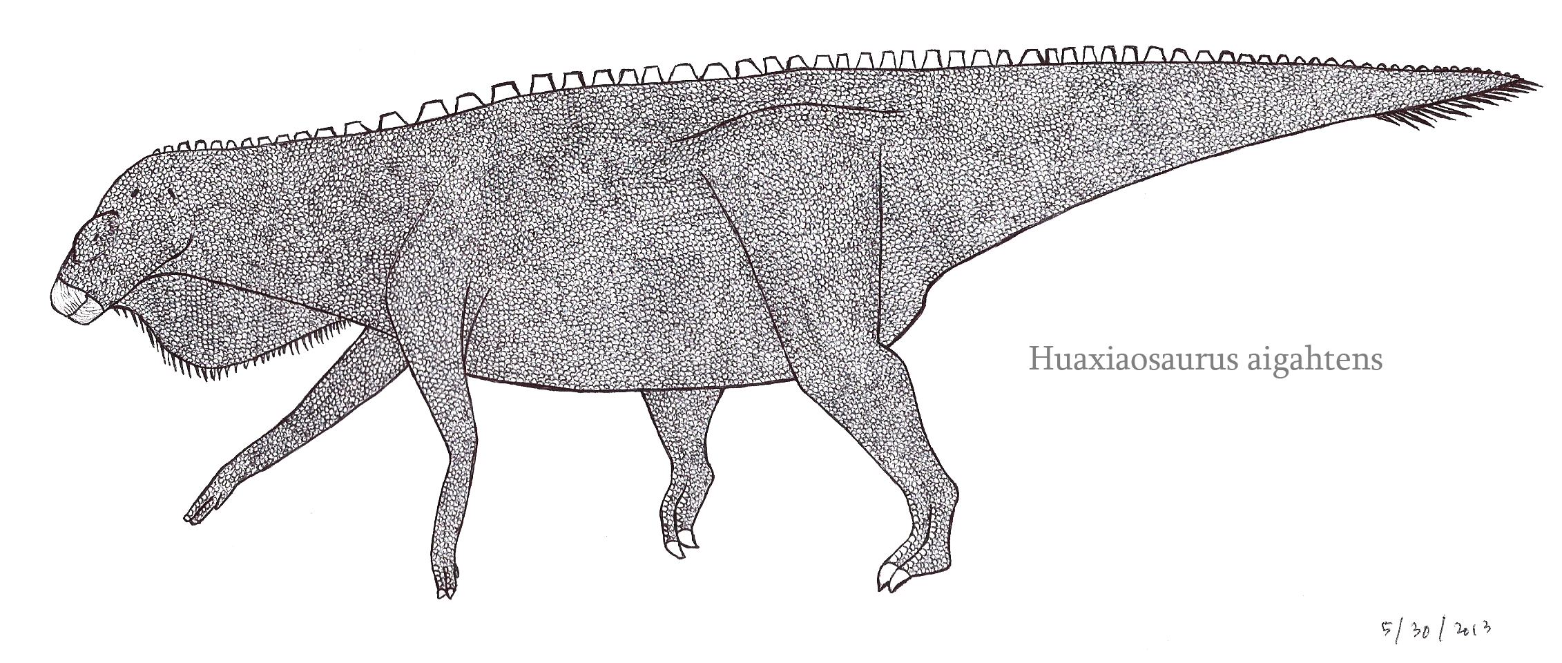 Huaxiaosaurus, the Ornithopod Titan