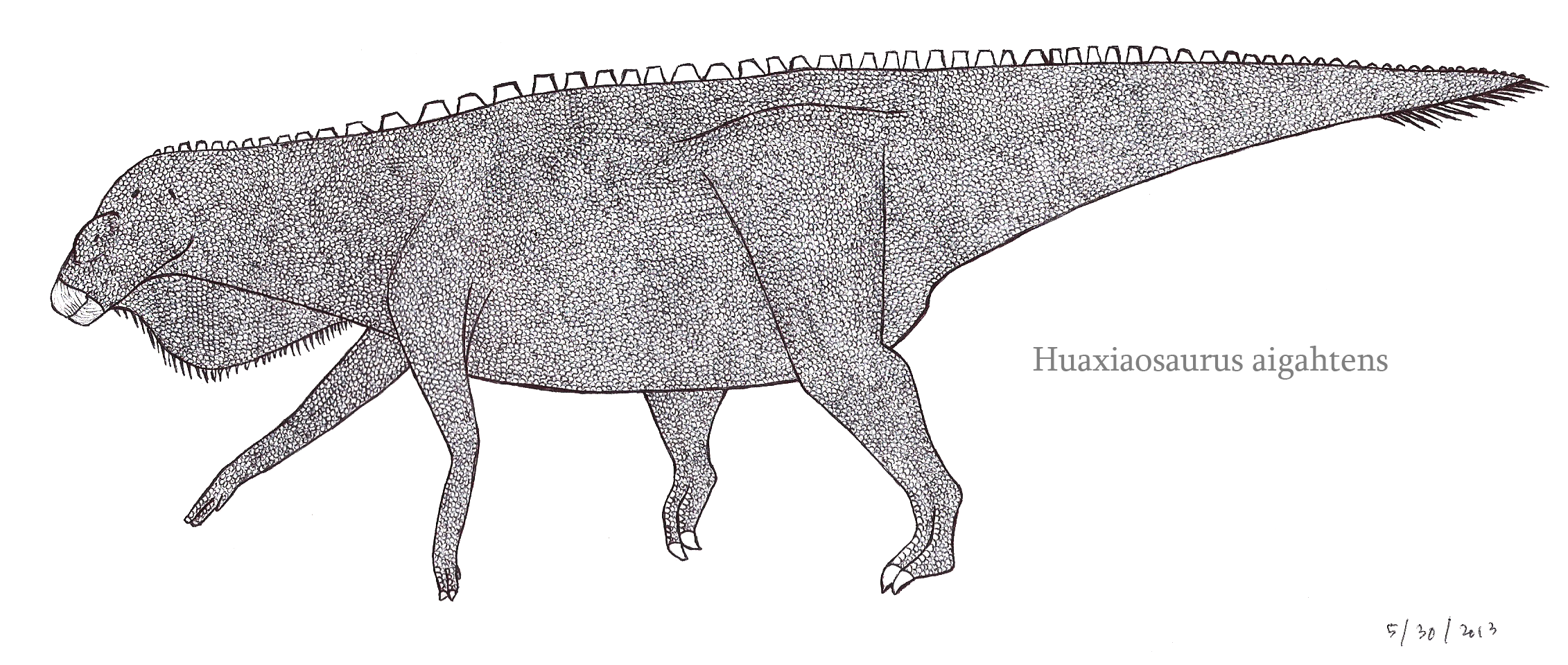Huaxiaosaurus, the Ornithopod Titan by SpinoInWonderland