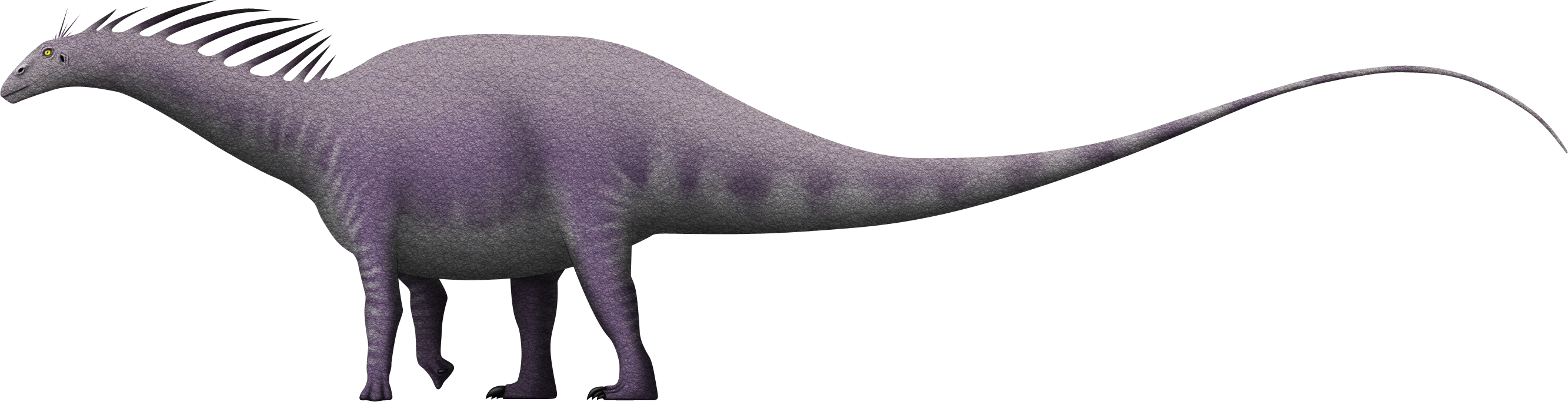 Amargasaurus cazaui