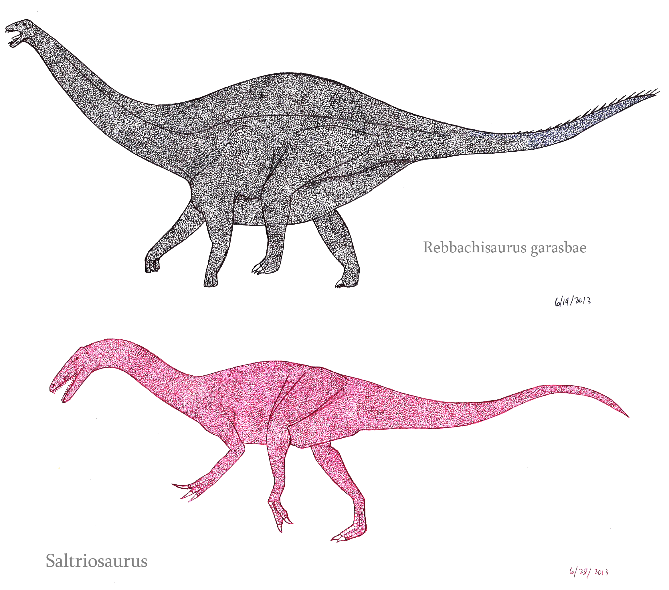 Rebbachisaurus and Saltriosaurus