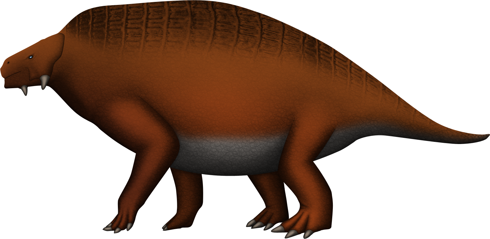 Scutosaurus karpinskii