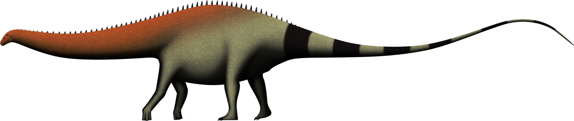 Brontosaurus yahnahpin by SpinoInWonderland
