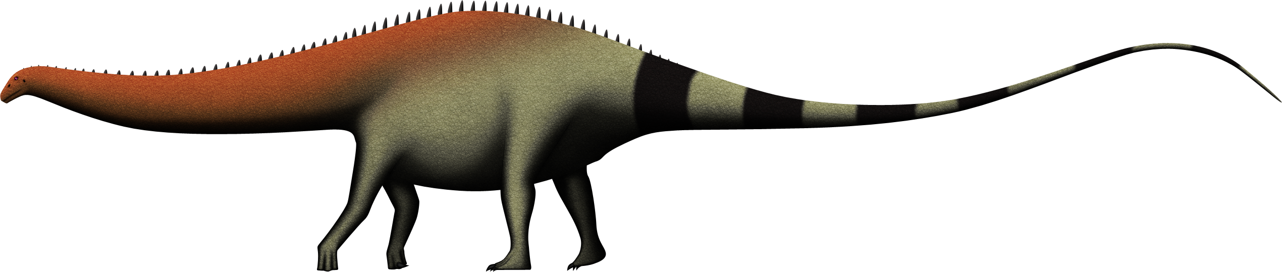 Brontosaurus yahnahpin by SpinoInWonderland