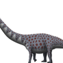 Supersaurus vivianae