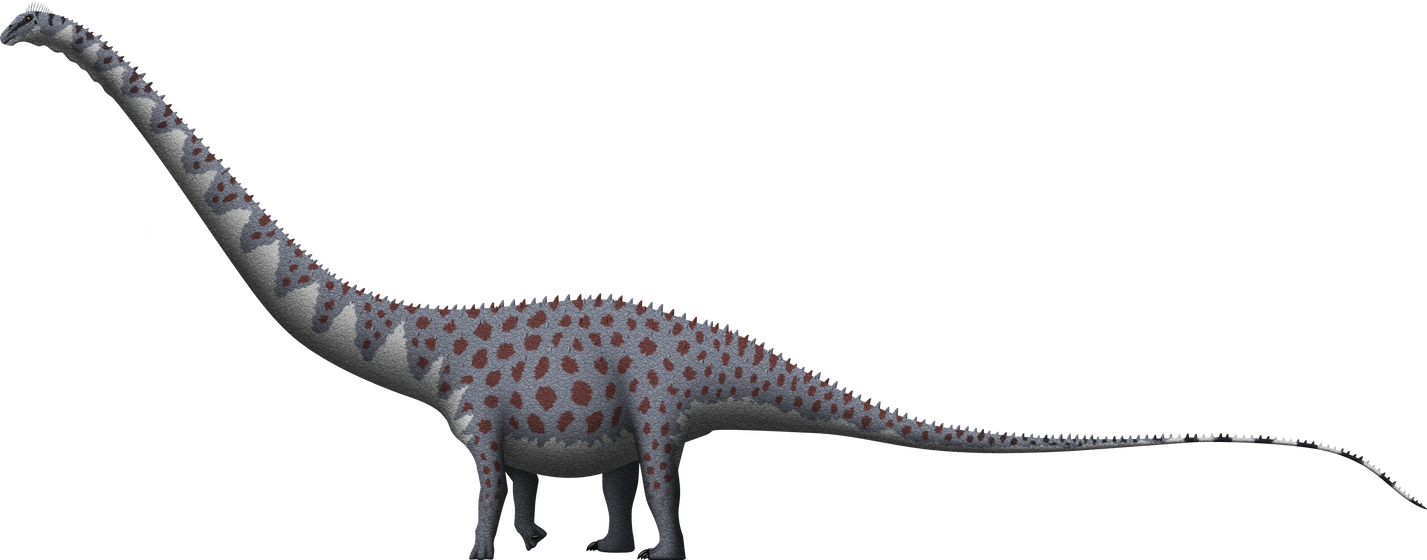 Supersaurus vivianae by SpinoInWonderland