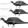 Spinosaurus aegyptiacus skeletals (2014-2017)
