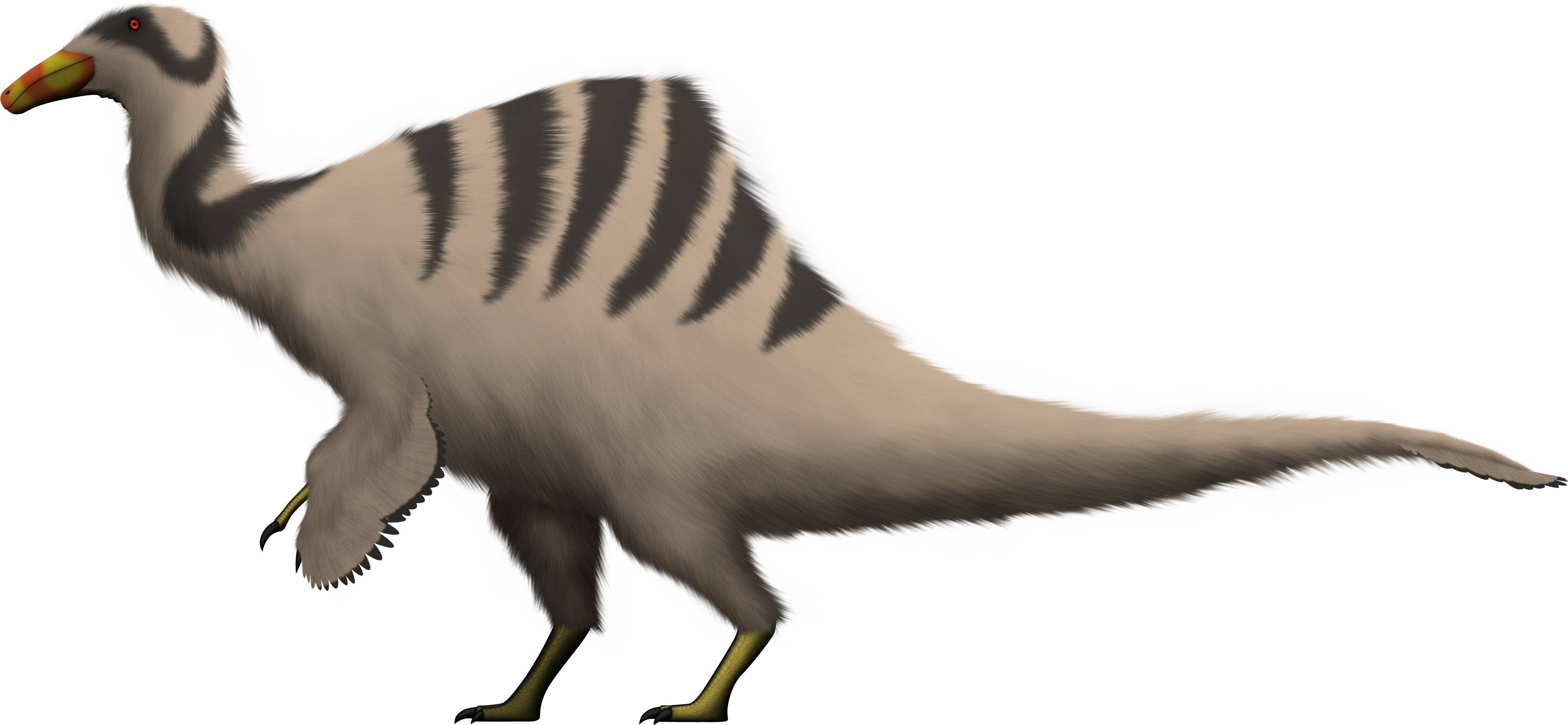 Deinocheirus mirificus, no longer an enigma