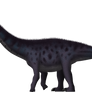 Apatosaurus ajax