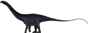 Apatosaurus ajax