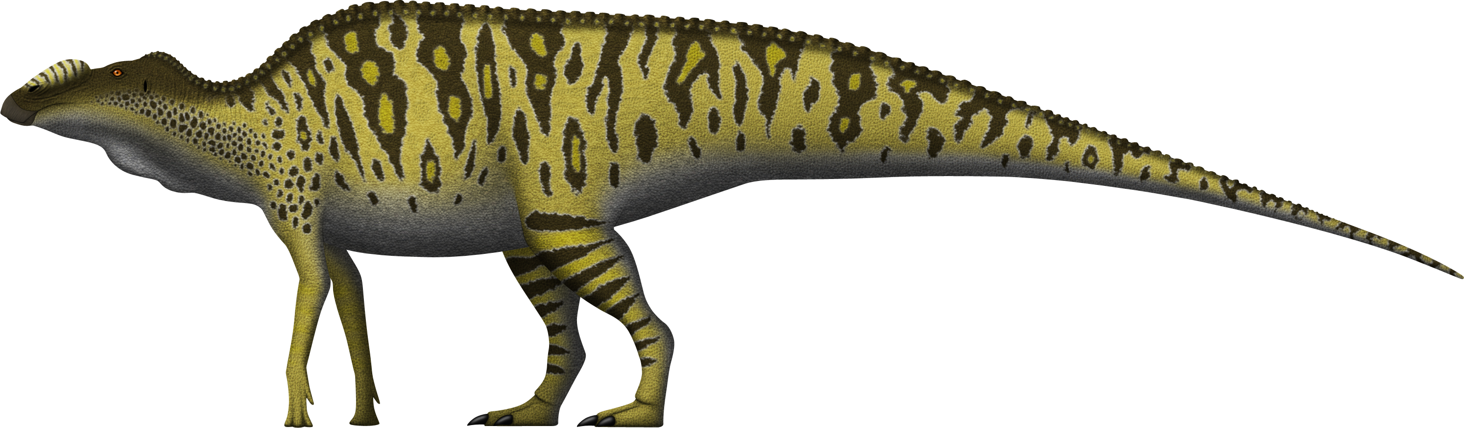 Edmontosaurus annectens