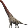 Giraffatitan brancai