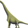 The Dry Mesa Brachiosaur