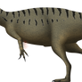 Allosaurus fragilis