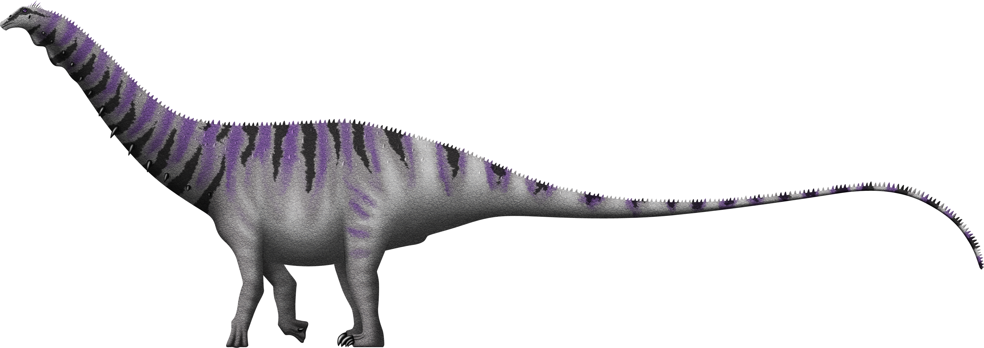 Brontosaurus excelsus