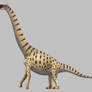 Lapparentosaurus madagascariensis
