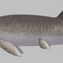 Dunkleosteus terrelli