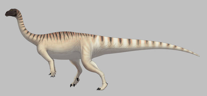 Mussaurus patagonicus (for Wikipedia)
