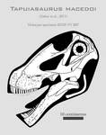 Tapuiasaurus macedoi skull reconstruction